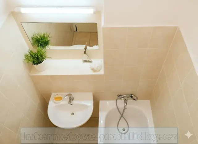 Pronájem pokoje, Praha - Břevnov, Fastrova, 22 m2