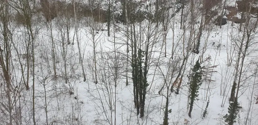 Prodej bytu 2+kk, Teplice, Pražská, 40 m2