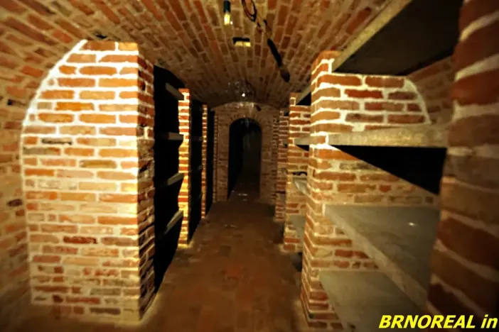 Prodej vícegeneračního domu, Staré Město pod Landštejnem, 1150 m2