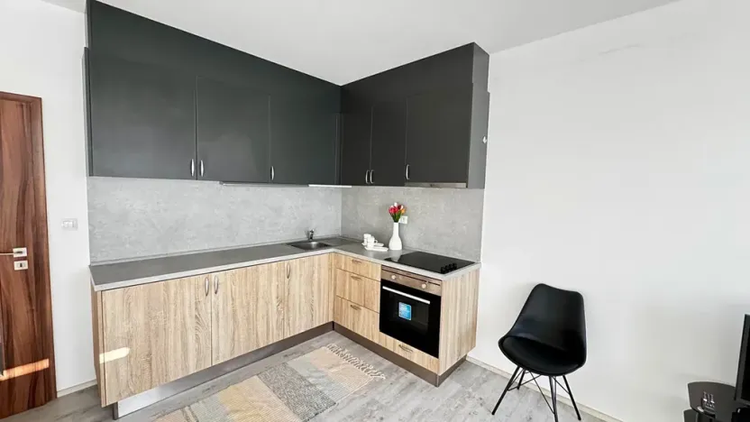 Pronájem bytu 1+kk, Pardubice, Pod Vinicí, 33 m2