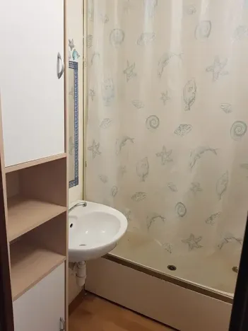 Pronájem bytu 1+kk, Nový Jičín, Dvořákova, 32 m2