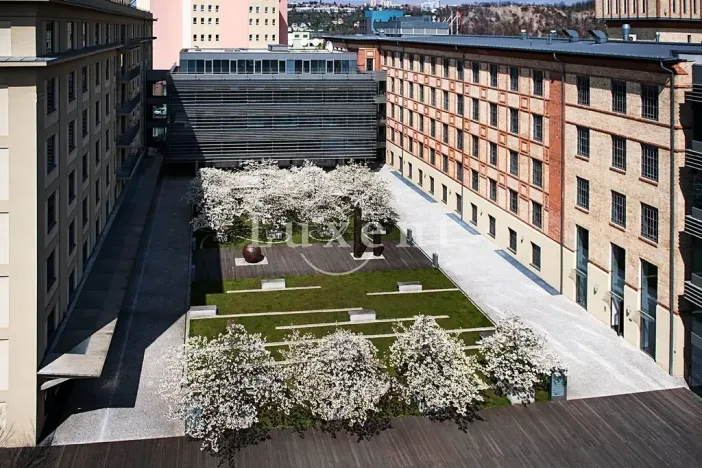 Pronájem kanceláře, Praha - Holešovice, Jankovcova, 330 m2