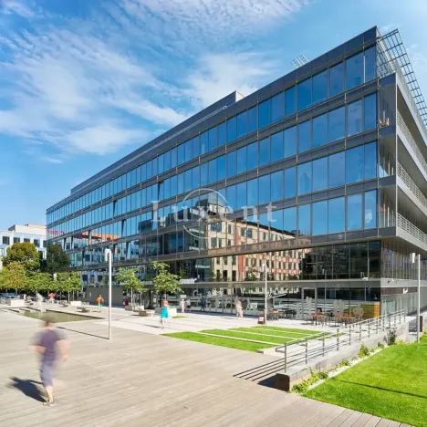 Pronájem kanceláře, Praha - Holešovice, Jankovcova, 330 m2