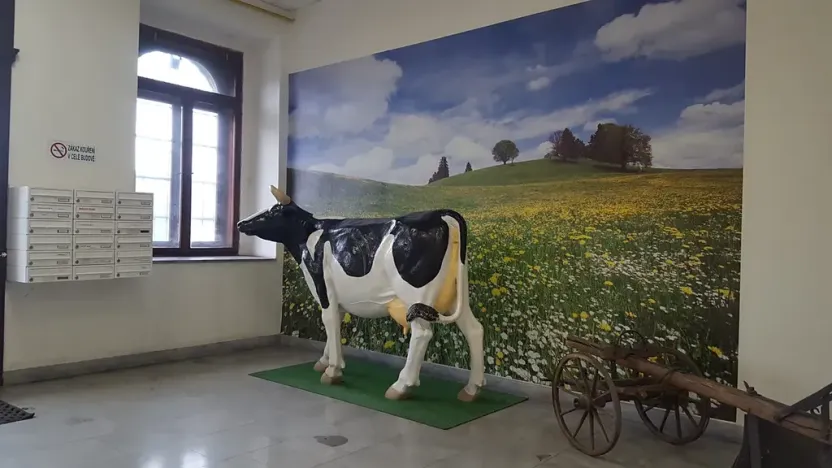 Pronájem kanceláře, Praha - Nové Město, Hybernská, 19 m2