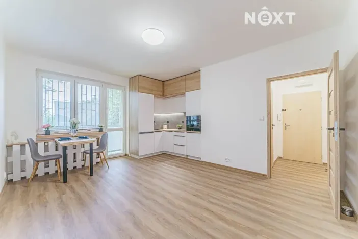 Pronájem bytu 1+kk, Ostrava, Aleše Hrdličky, 25 m2