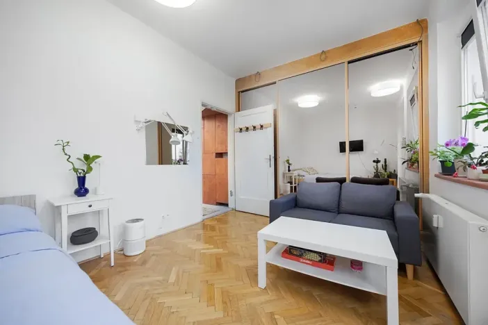 Prodej bytu 1+1, Praha - Žižkov, Baranova, 49 m2