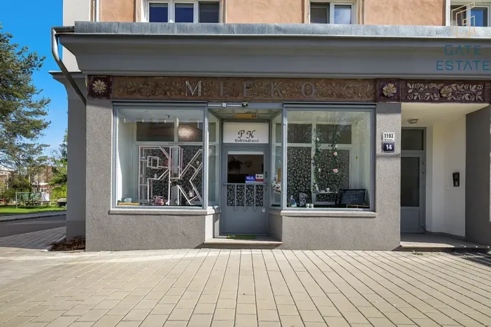 Pronájem obchodního prostoru, Holešov, U Letiště, 55 m2