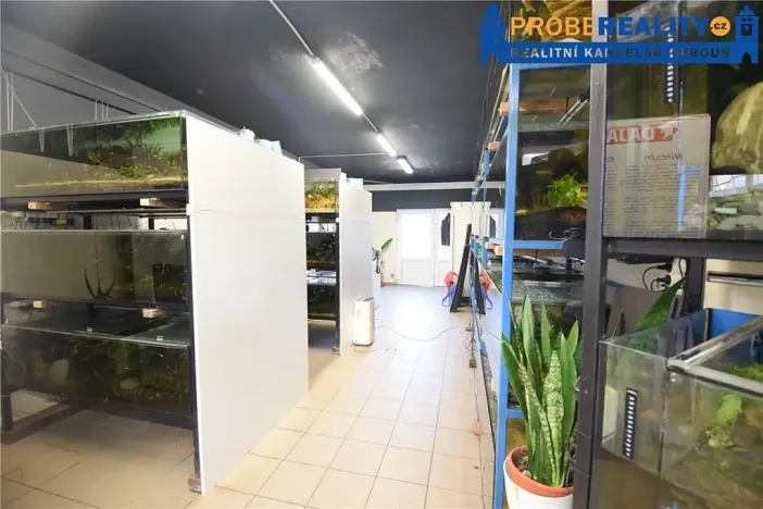 Pronájem výrobních prostor, Chyňava, Hýskovská, 172 m2