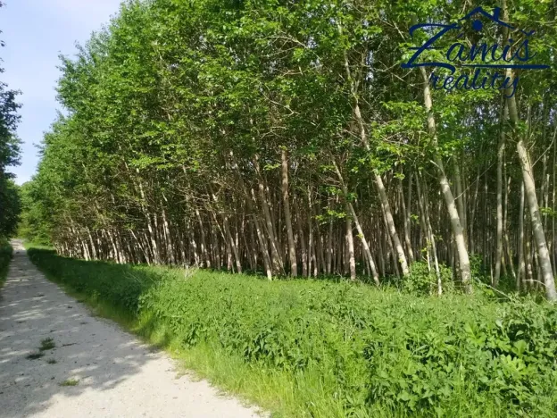 Prodej sadu/vinice, Kačice, K zahradě, 43712 m2