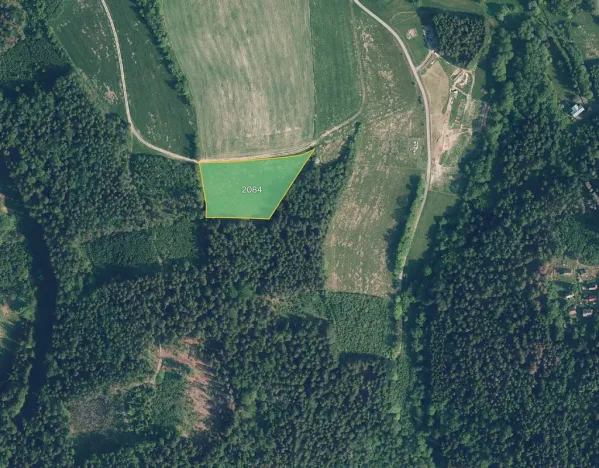 Prodej louky, Jílové u Držkova, 7640 m2