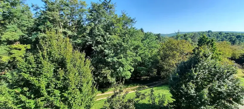 Pronájem bytu 1+kk, Brno, Šemberova, 51 m2