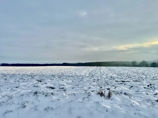 Prodej pole, Zbýšov, 10847 m2