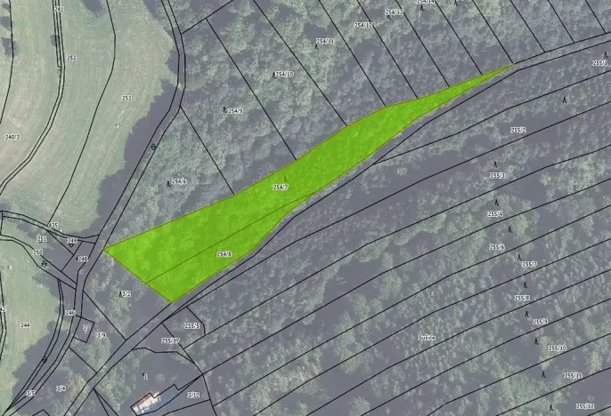 Prodej lesa, Hartinkov, 8121 m2