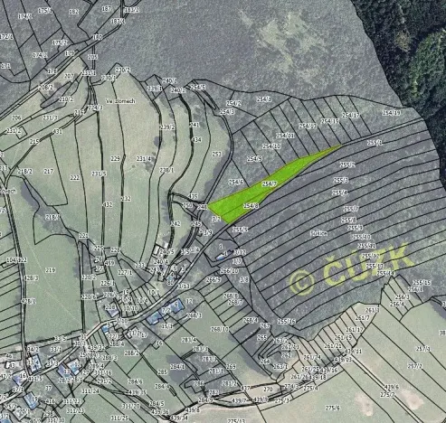 Prodej lesa, Hartinkov, 8121 m2