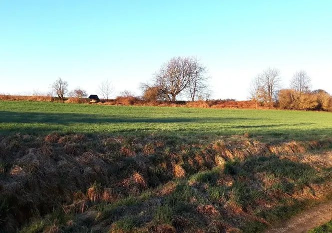 Prodej pozemku pro bydlení, Rovensko, 633 m2