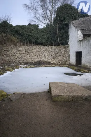 Prodej zemědělské usedlosti, Horní Planá, 200 m2