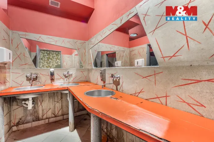 Prodej činžovního domu, Plužná, 700 m2