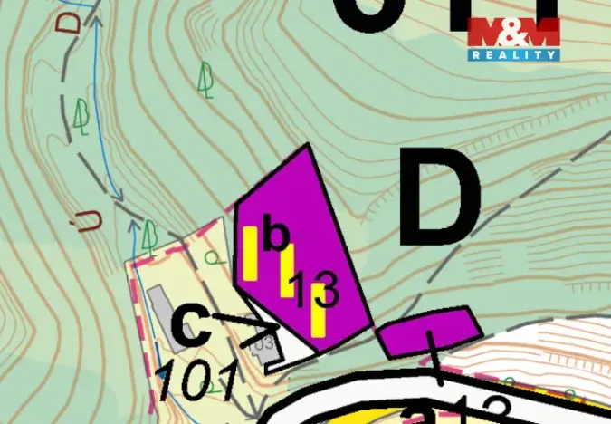 Prodej lesa, Ústí nad Orlicí - Oldřichovice, 2745 m2
