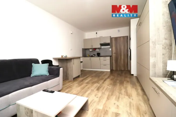 Pronájem bytu 1+kk, Ostrov - Horní Žďár, 28 m2