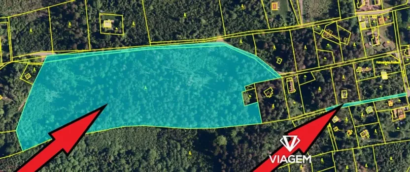 Prodej podílu lesa, Frýdlant nad Ostravicí, 15401 m2