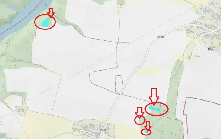 Prodej lesa, Chrášťany, 11900 m2