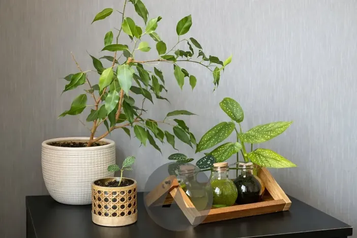 Pronájem bytu 2+kk, Brno, Horníkova, 45 m2