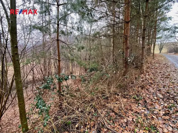 Prodej rybníku, Ondřejov, 8264 m2