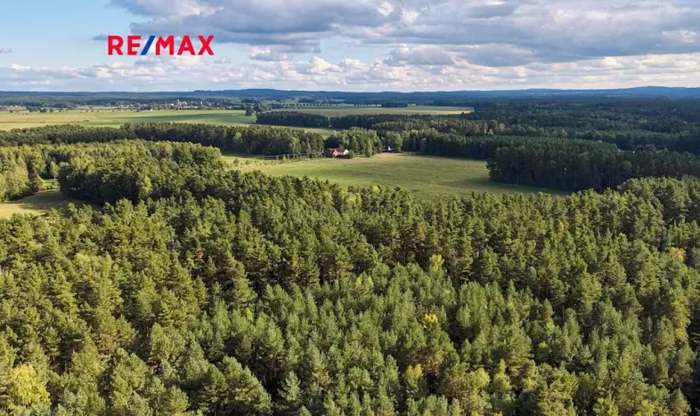 Prodej pozemku pro bydlení, Suchdol nad Lužnicí, 1001 m2