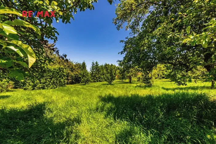 Prodej chalupy, Medový Újezd, 218 m2