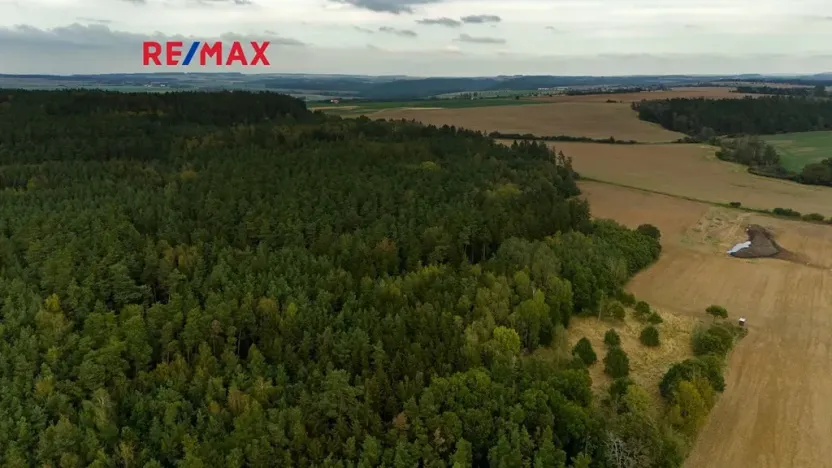 Prodej lesa, Všehrdy, 35057 m2