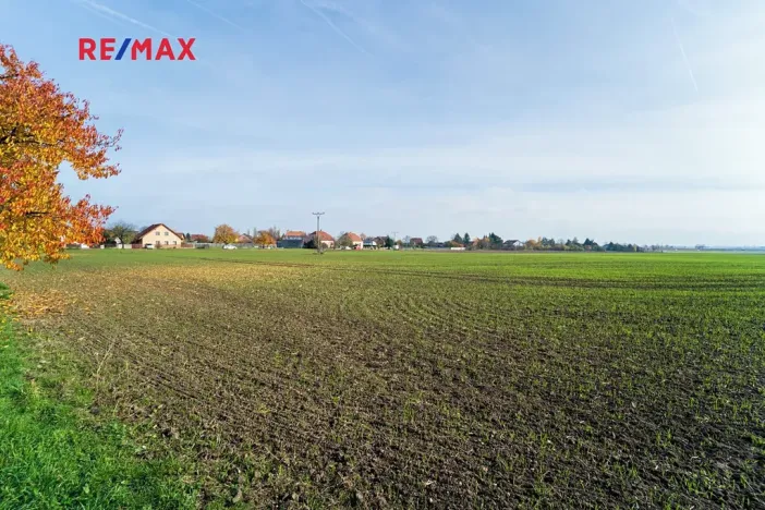 Prodej pozemku pro bydlení, Všechlapy, 9214 m2