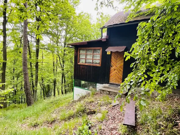 Prodej chaty, Kaliště, 30 m2