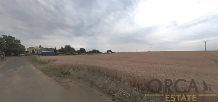 Prodej pole, Medlovice, 4802 m2