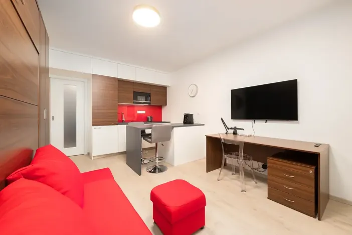 Pronájem bytu 1+kk, Brno, Placzkova, 28 m2