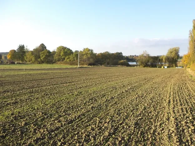 Dražba pozemku pro bydlení, Albrechtice nad Vltavou, 4328 m2