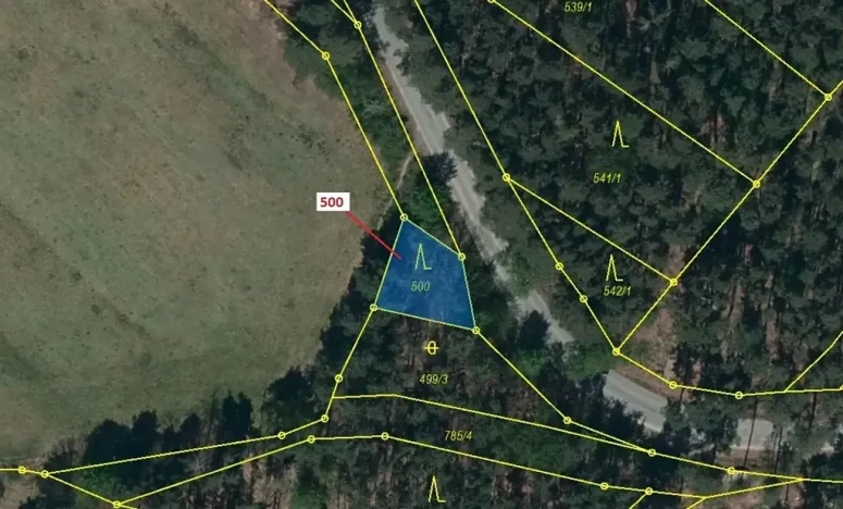 Dražba lesa, Náměšť nad Oslavou, 177 m2