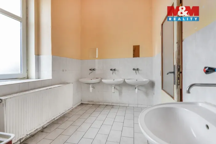 Pronájem obchodního prostoru, Plazy, 675 m2