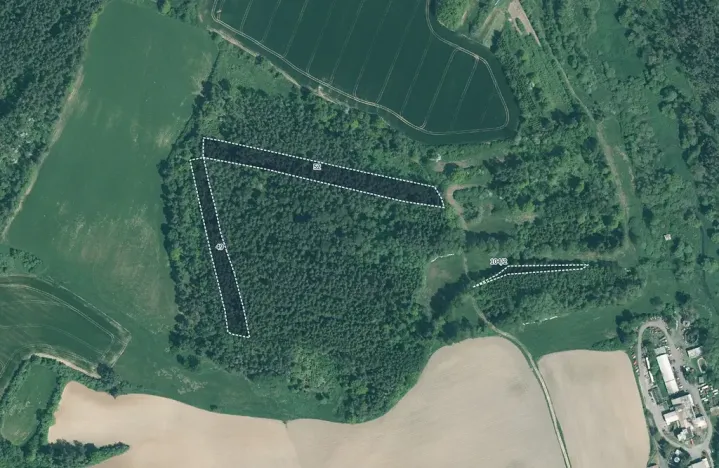 Prodej lesa, Zastávka, 11212 m2