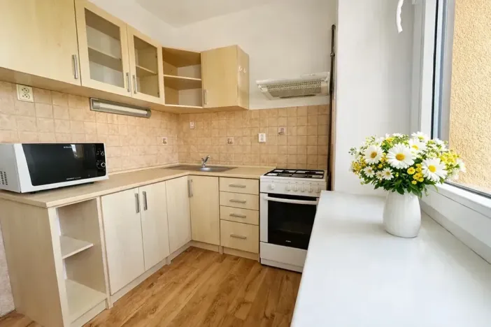 Pronájem bytu 1+1, Praha - Žižkov, U kněžské louky, 70 m2