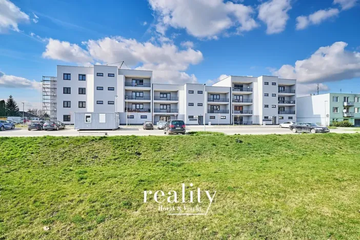 Prodej bytu 3+1, Hrušovany nad Jevišovkou, 89 m2