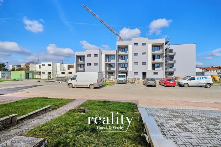 Prodej bytu 3+1, Hrušovany nad Jevišovkou, 89 m2