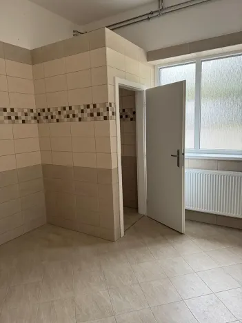 Pronájem skladu, Ostrov, 130 m2