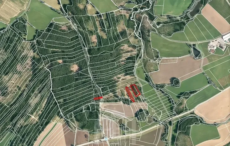 Prodej lesa, Horní Meziříčko, 6626 m2