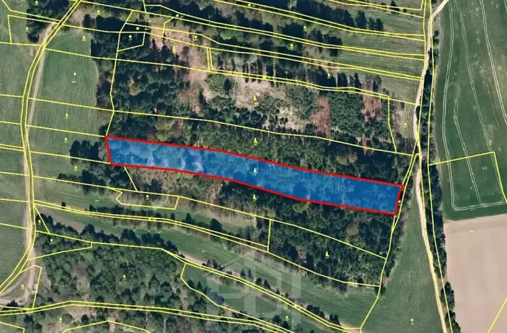 Prodej lesa, Jihlávka, 10463 m2