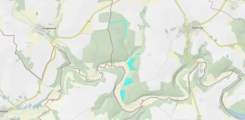 Prodej lesa, Křelovice, 102822 m2