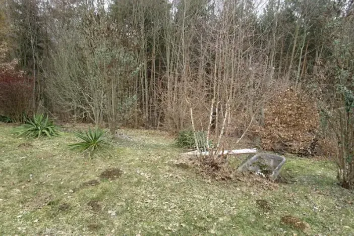 Prodej lesa, Slapy, 4059 m2