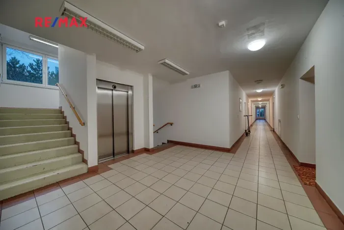 Pronájem bytu 2+kk, Poděbrady, Čechova, 50 m2