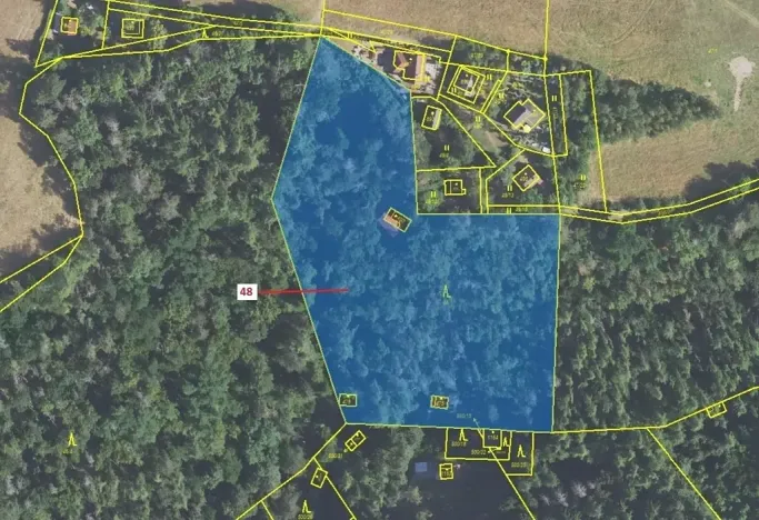 Dražba lesa, Sýkořice, 8962 m2