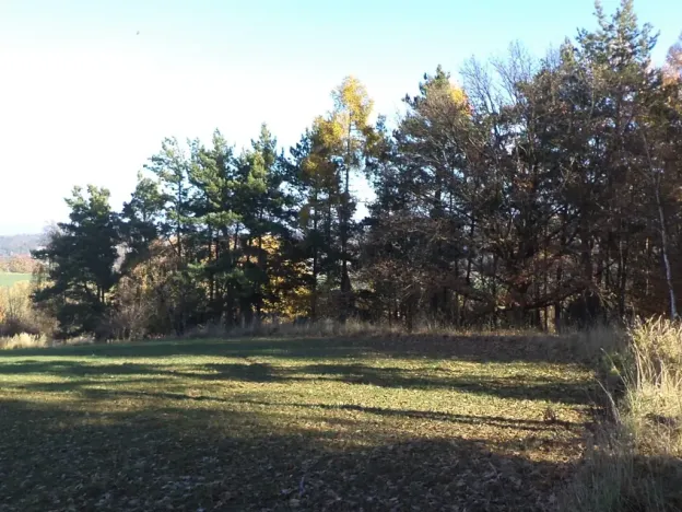 Dražba louky, Prostějovičky, 13211 m2