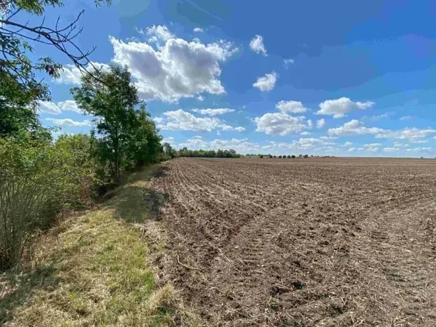 Dražba pole, Nový Bydžov, 1857 m2